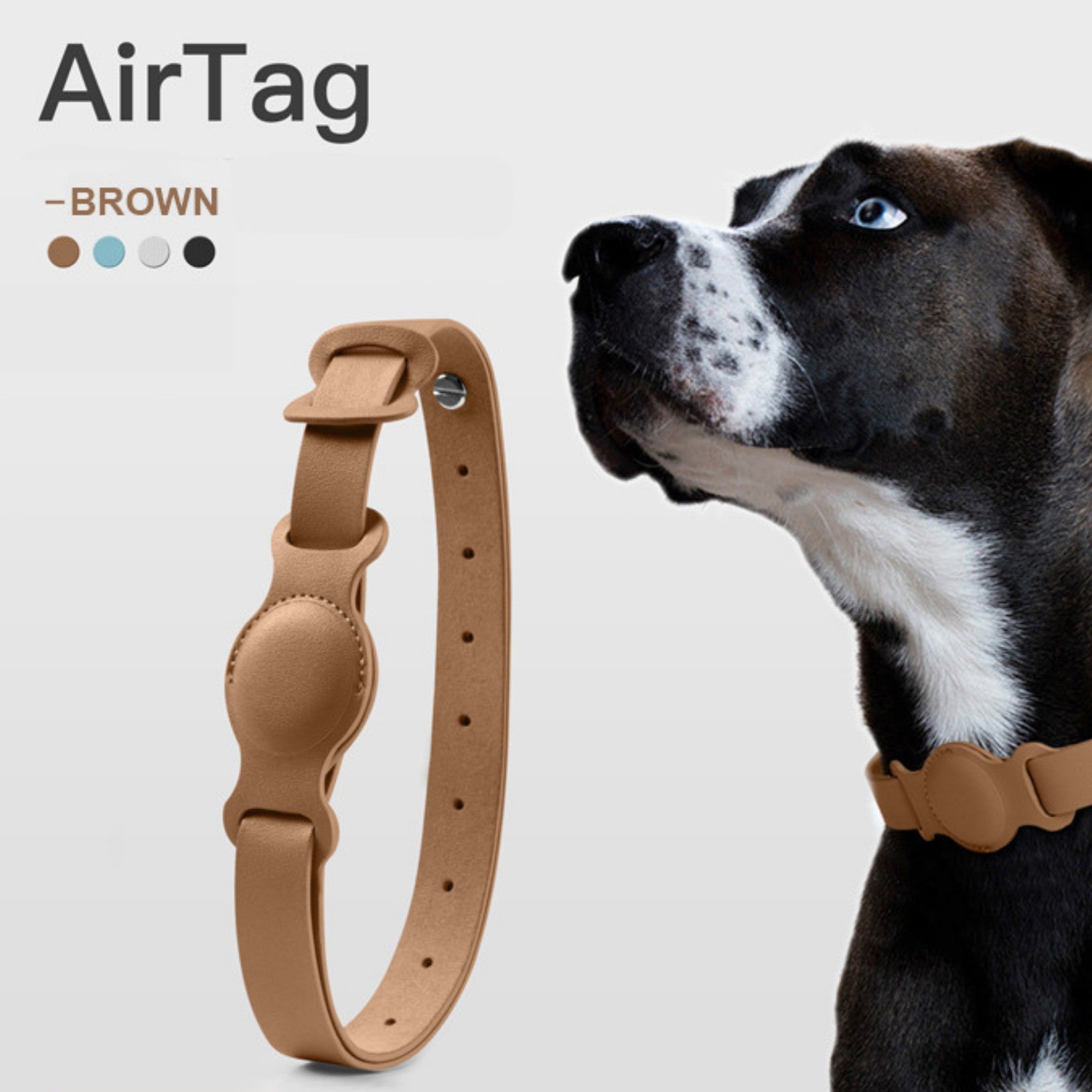 Collier en cuir AirTag pour animaux de compagnie