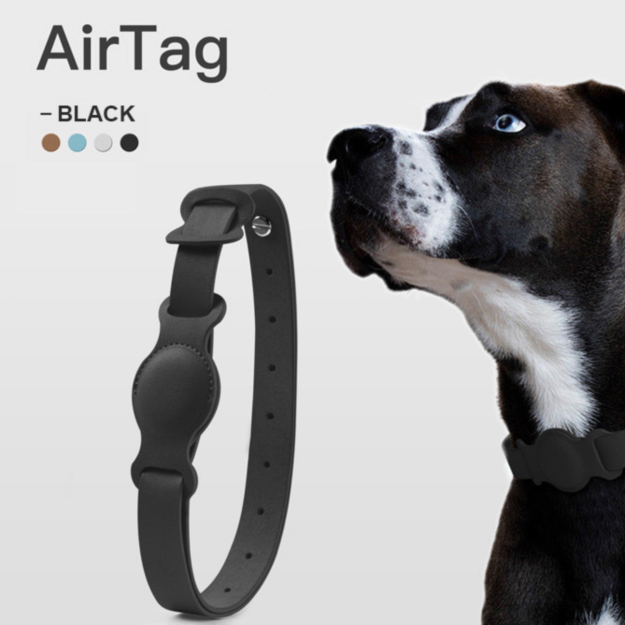 Collier en cuir AirTag pour animaux de compagnie