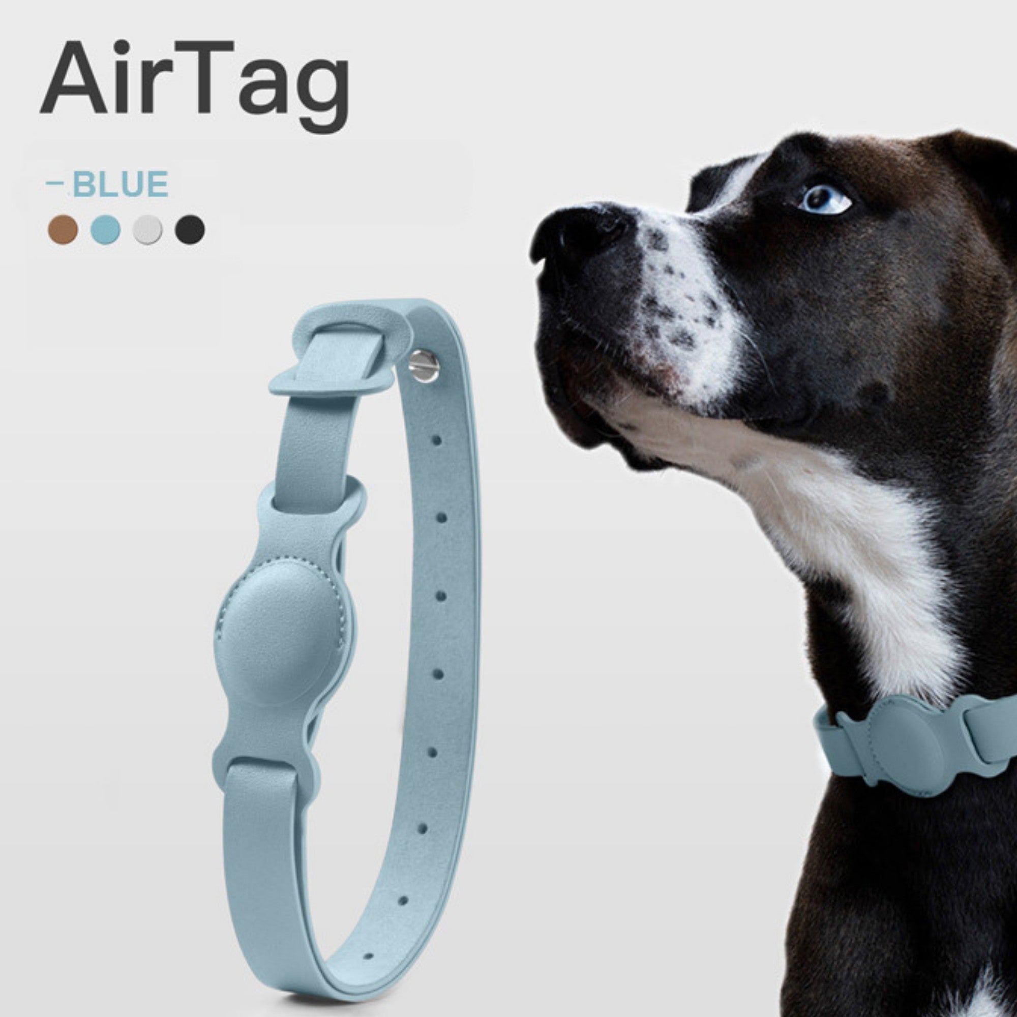 Collier en cuir AirTag pour animaux de compagnie