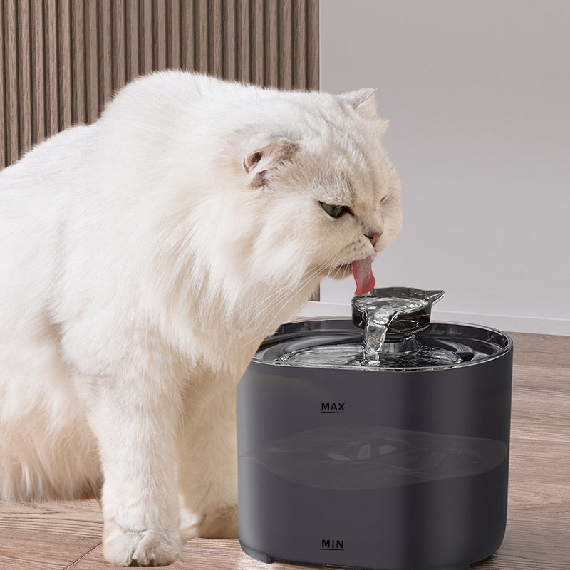 Cat Automatic Fountain